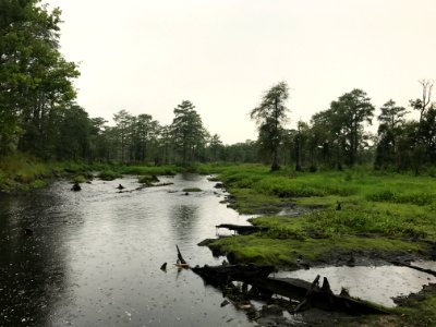 Hayes Pond