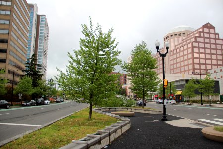 Hayes Street, Pentagon City VA April 2019 2