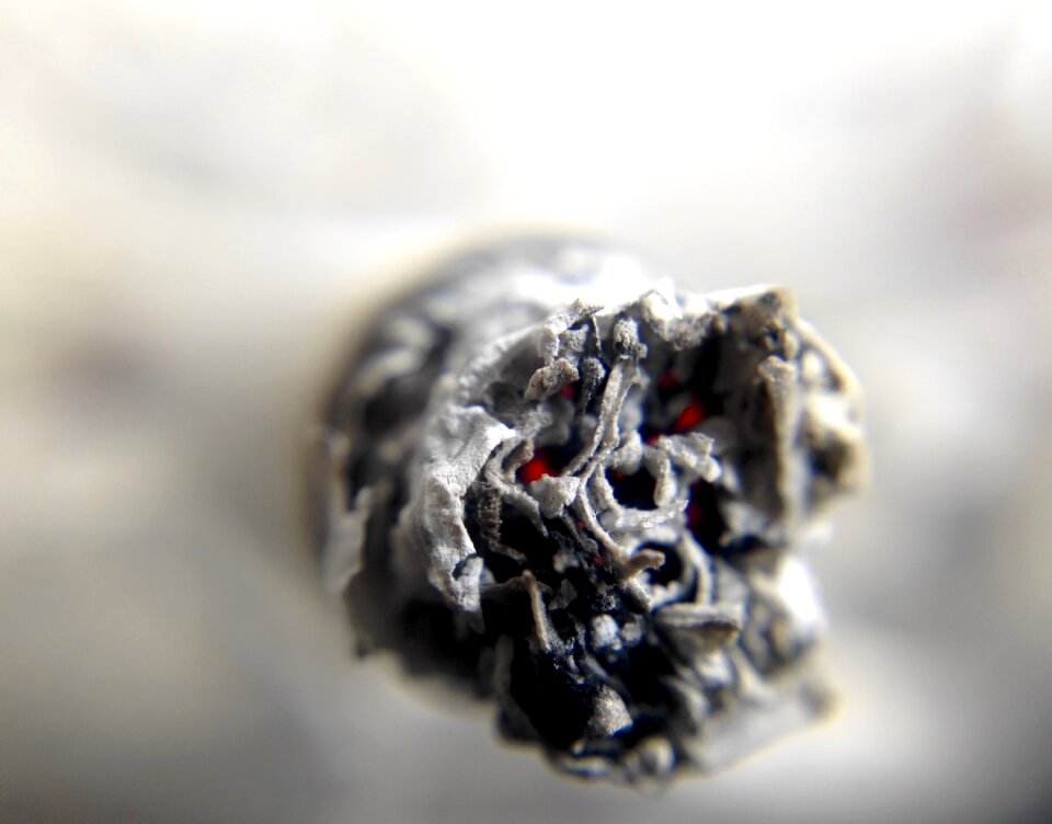Cigar joint marijuana