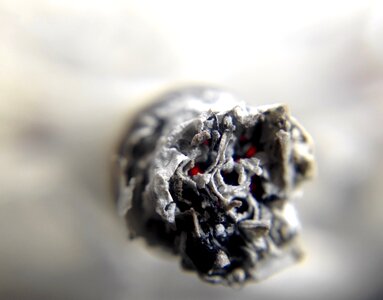 Cigar joint marijuana