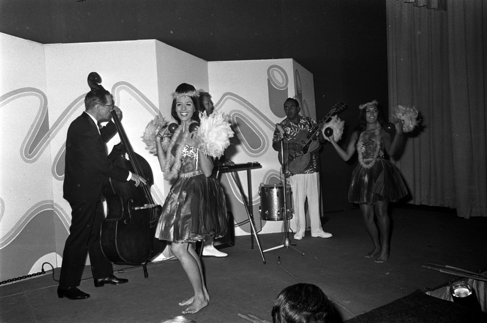 Hawaiaanse danseressen, Bestanddeelnr 919-6292