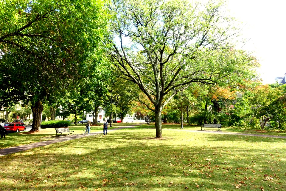 Hastings Square - Cambridge, MA - DSC07507
