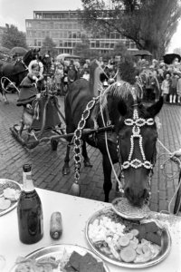 Haver en roggebrood voor een paard met arreslee, Bestanddeelnr 919-6363