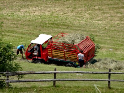 Haymaking Saltaus