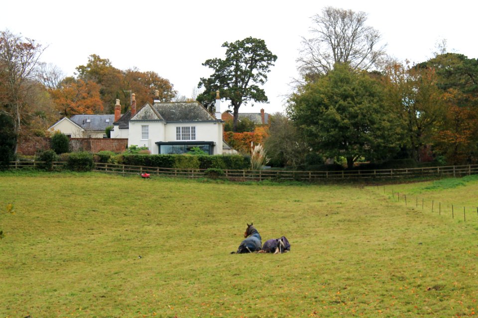 Hayes Raleigh House