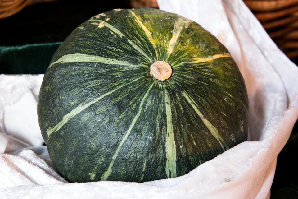 Thanksgiving harvest green