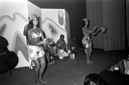 Hawaiaanse danseressen, Bestanddeelnr 919-6291