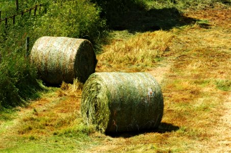 Hay-bales-Hertfordshire-20050613-030