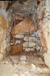 Hattorigawa Kofun Group-1, genshitsu-1