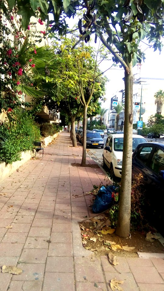 Hayarden-street-ramat-gan-26-10-2015