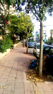 Hayarden-street-ramat-gan-26-10-2015