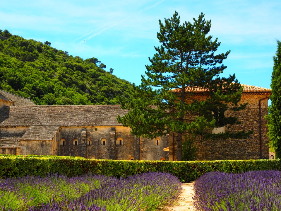 Notre dame de sénanque the order of cistercians gordes