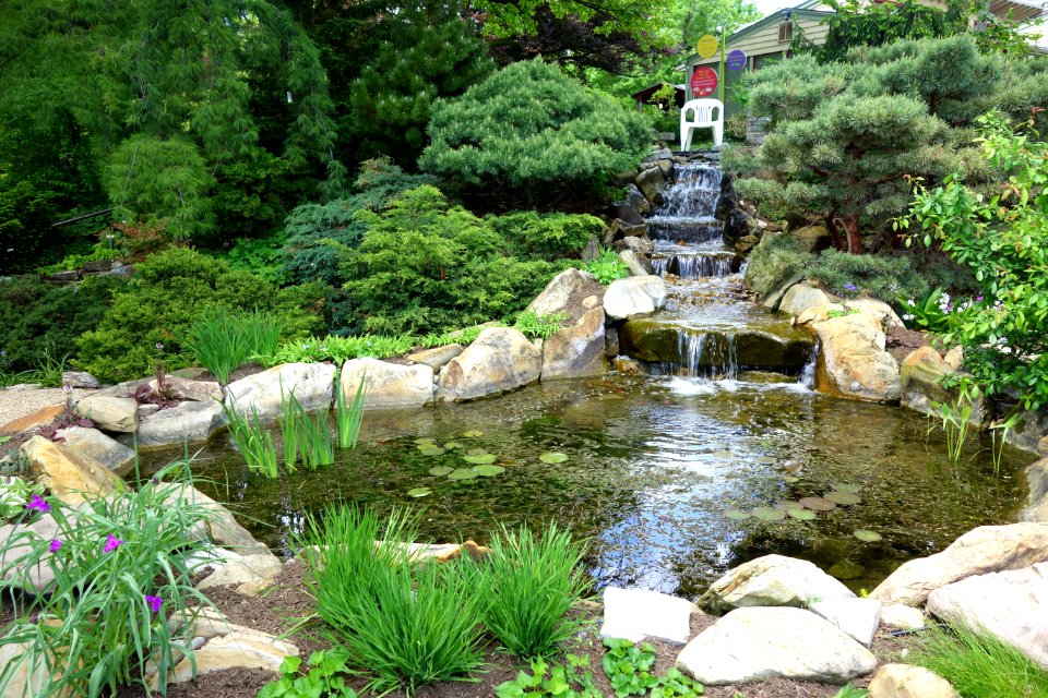 Hauck Botanic Gardens - DSC03766