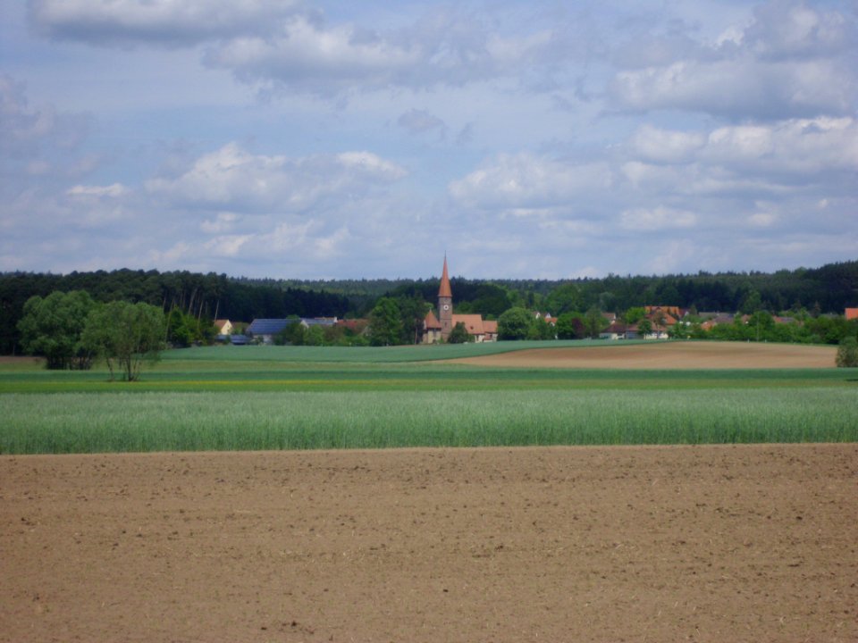 Haundorf 2012-05-08 (2)