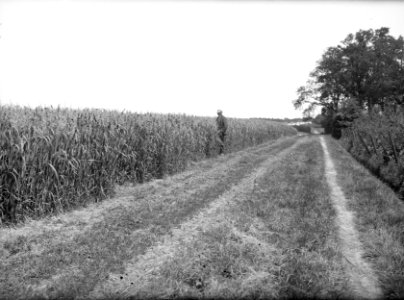 Haver, landgoed, de snippert, Bestanddeelnr 192-0463