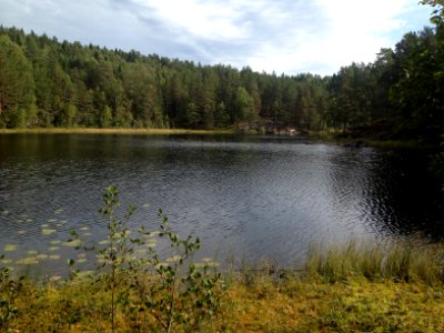 Hauktjern Sept 2014 bilde02