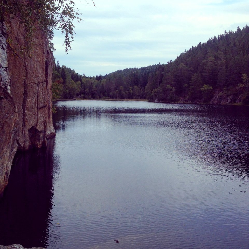 Hauktjern Sept 2014