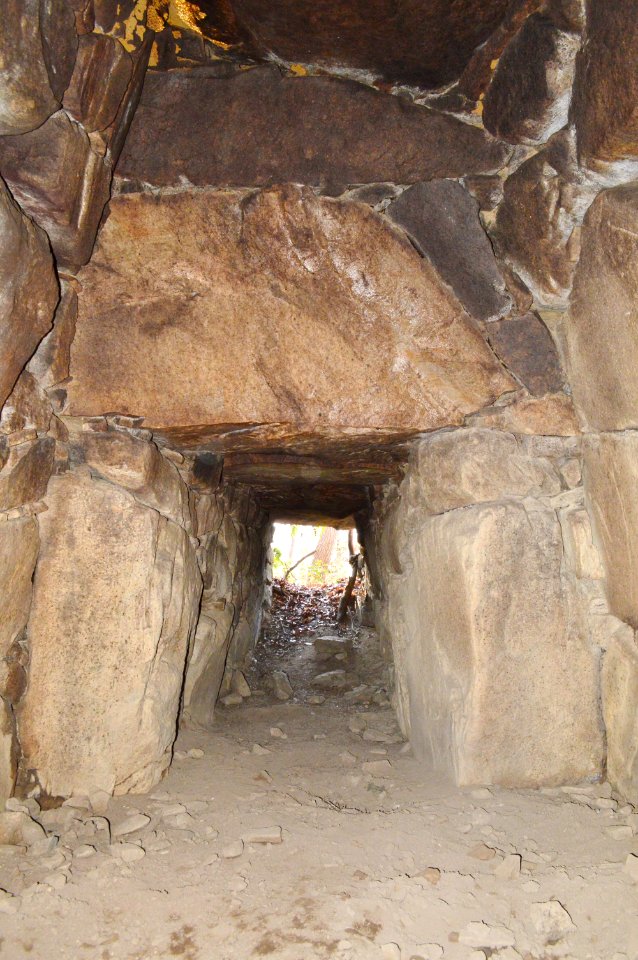 Hattorigawa Kofun Group-91, genshitsu-2