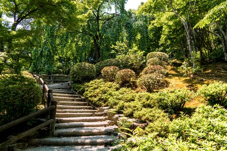 Kyoto green nature