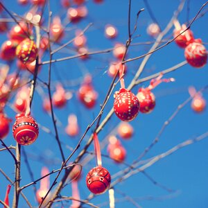 Easter egg colorful decoration photo