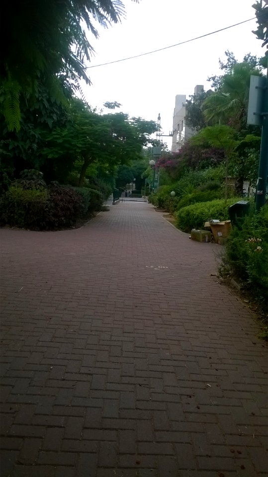 Hatzanchanim-avenue-ramat-gan