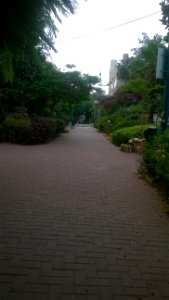 Hatzanchanim-avenue-ramat-gan