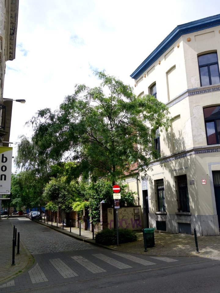 Haubrechtsstraat