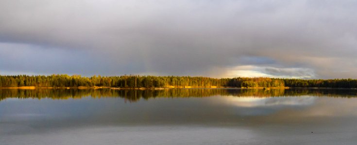 Haunisten allas tammikuu 2018