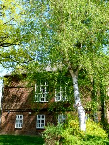 Haus in Neumünster