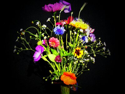 Flower meadow bouquet nasturtium photo