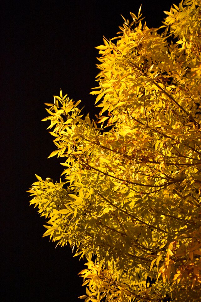 Dark contrast colors