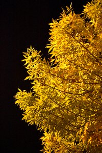 Dark contrast colors