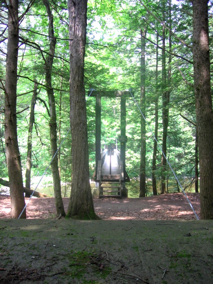 Hauser footbridge 033