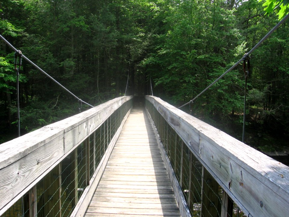 Hauser footbridge 035