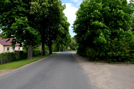 Hauptstraße Hardenbeck 2021-05-29 01 photo