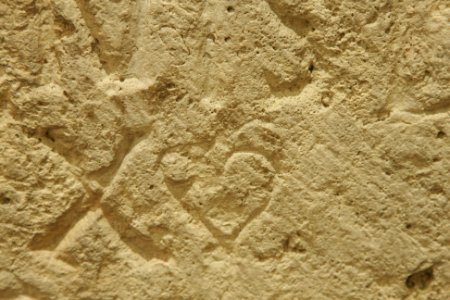 HD039588 5