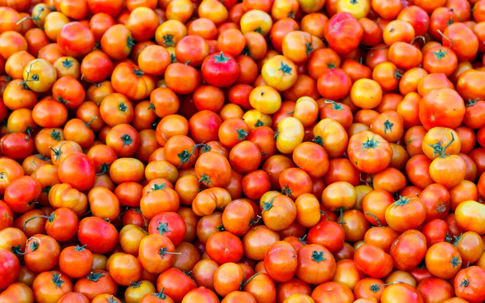 Food healthy fresh