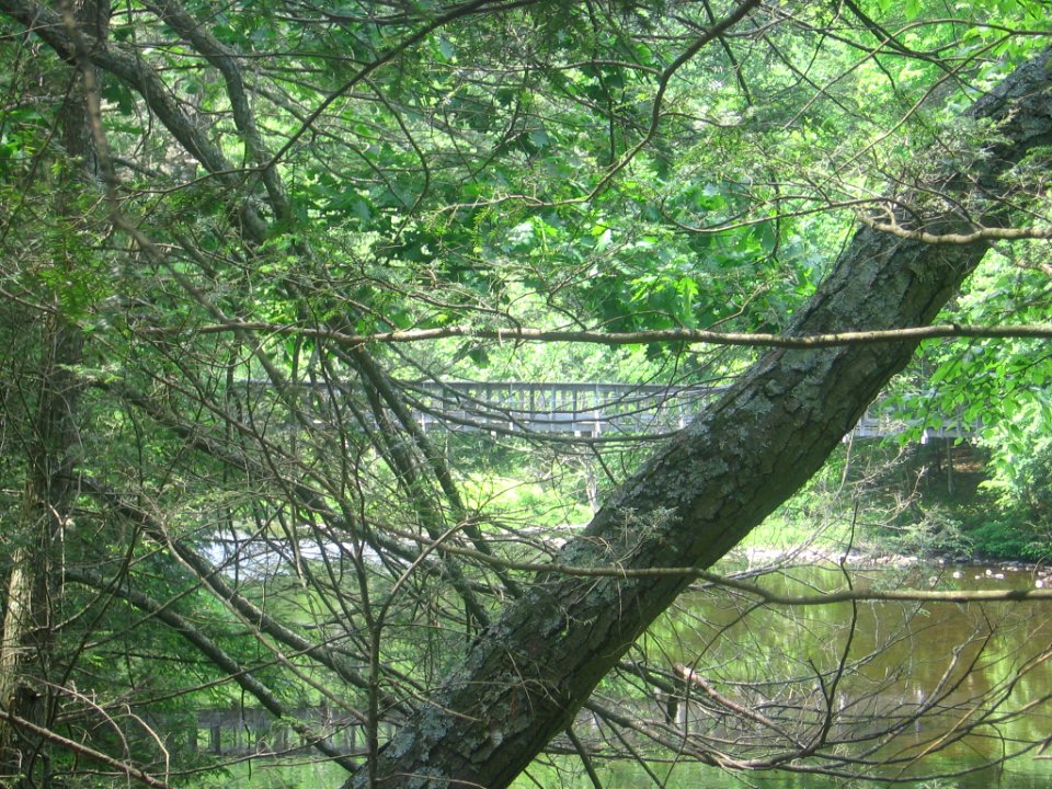Hauser footbridge 032