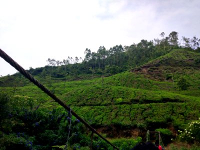 Hdr (213530285)