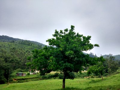 Hdr (213530409)
