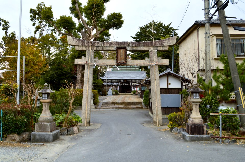 Hazukashi-jinja, torii