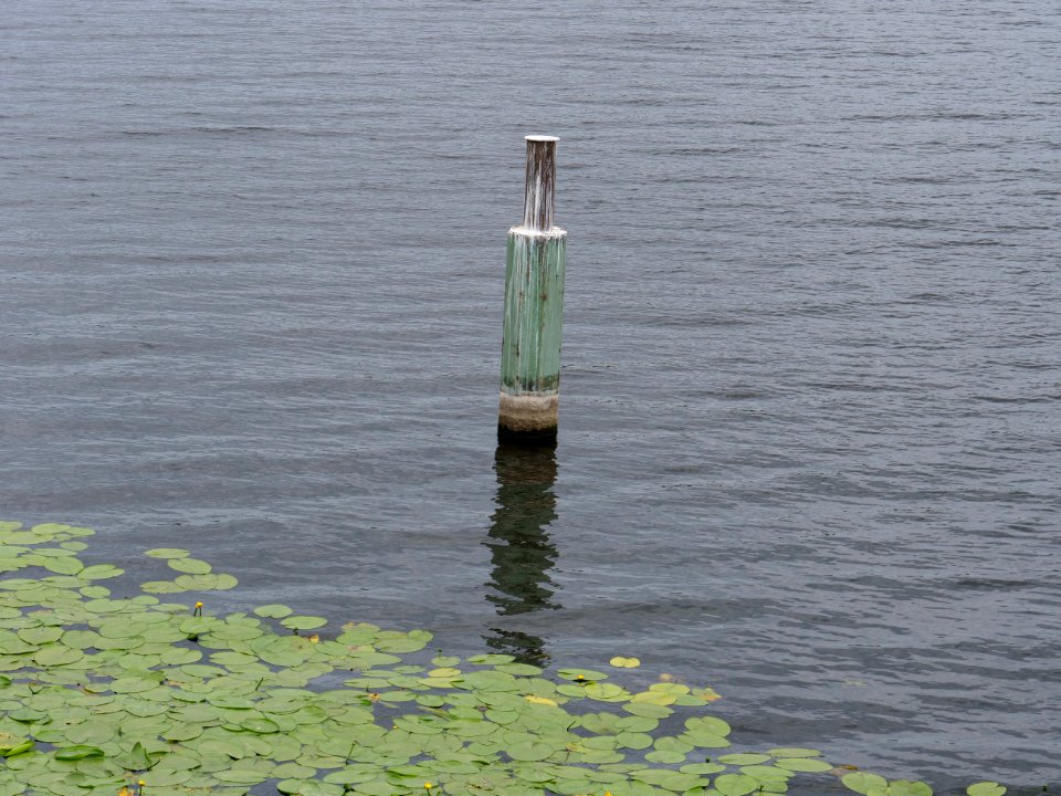 Havel from Oberhavelsteg 2019-07-03 03