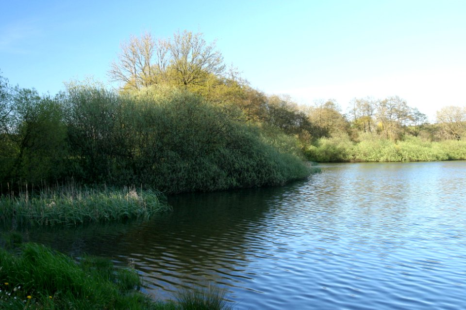 Hausweiher Westerwaelder Seenplatte (04)