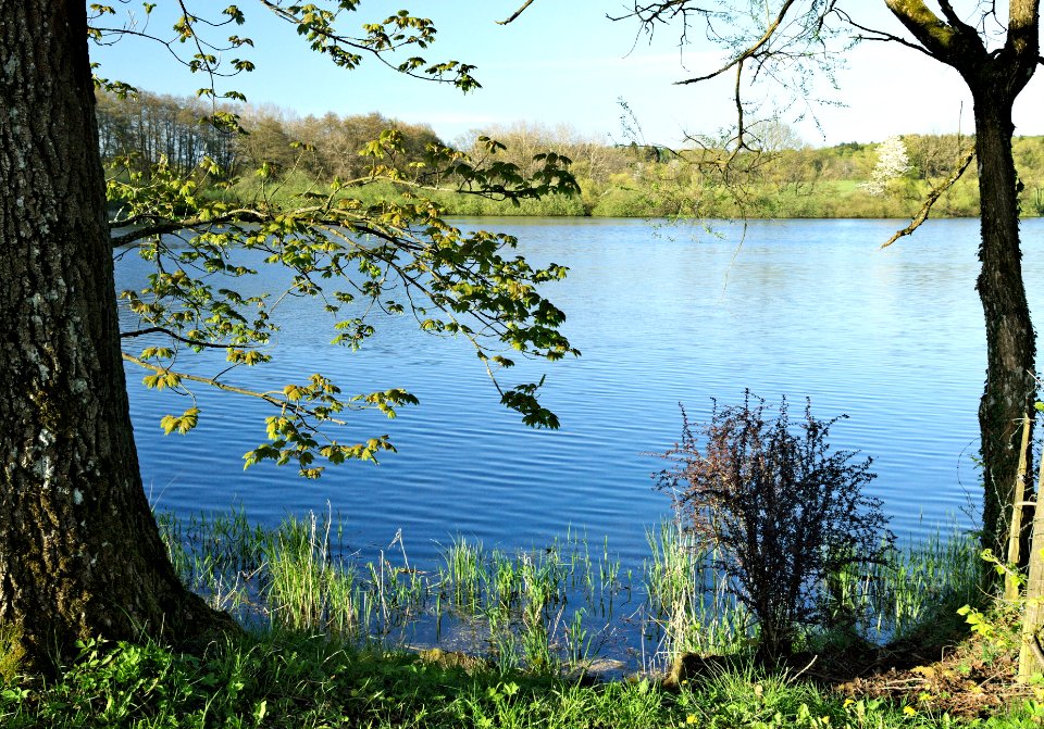 Hausweiher Westerwaelder Seenplatte (02)