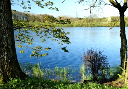 Hausweiher Westerwaelder Seenplatte (02)