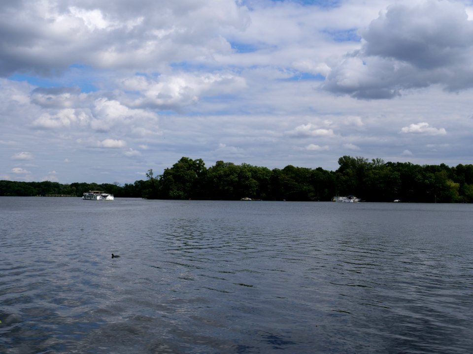 Havel from Hakenfelde ferry pier 2019-07-03 12