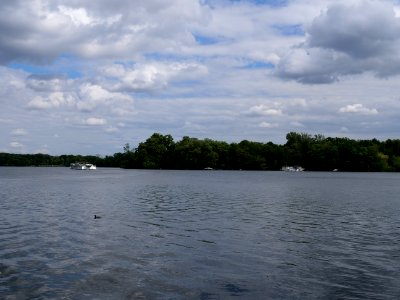 Havel from Hakenfelde ferry pier 2019-07-03 12