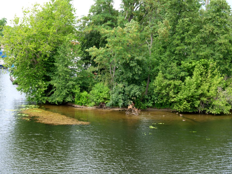 Havel bank from Wasserstadtbrücke 2019-07-03 02