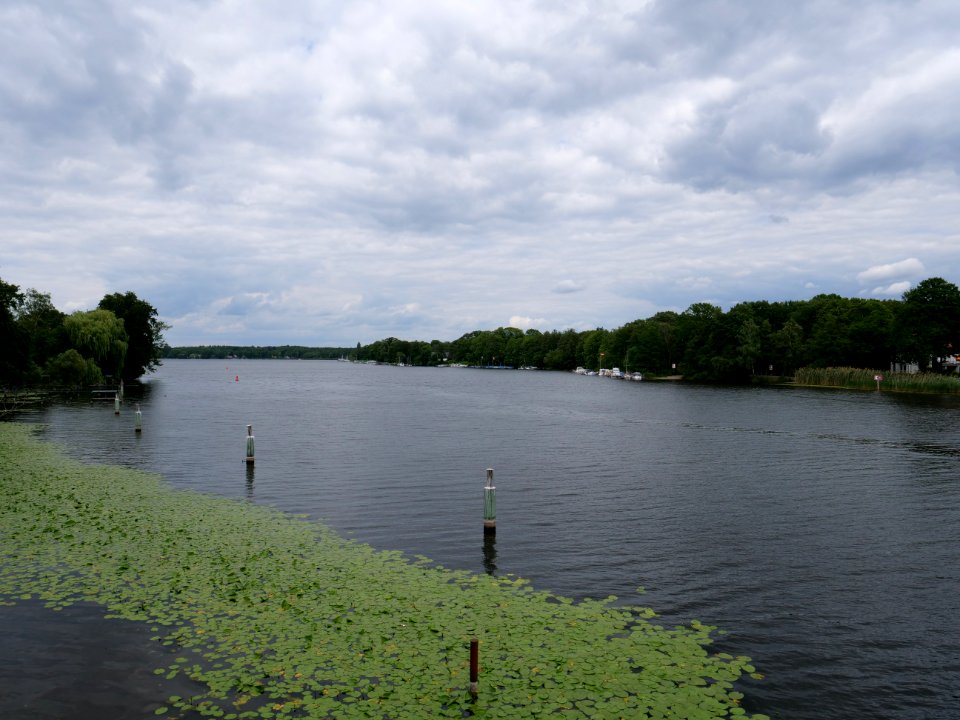 Havel from Oberhavelsteg 2019-07-03 08