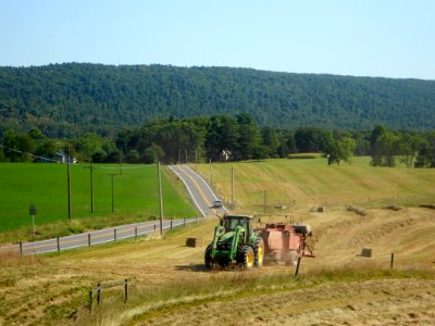 Hay Buck Valley FultonCo PA
